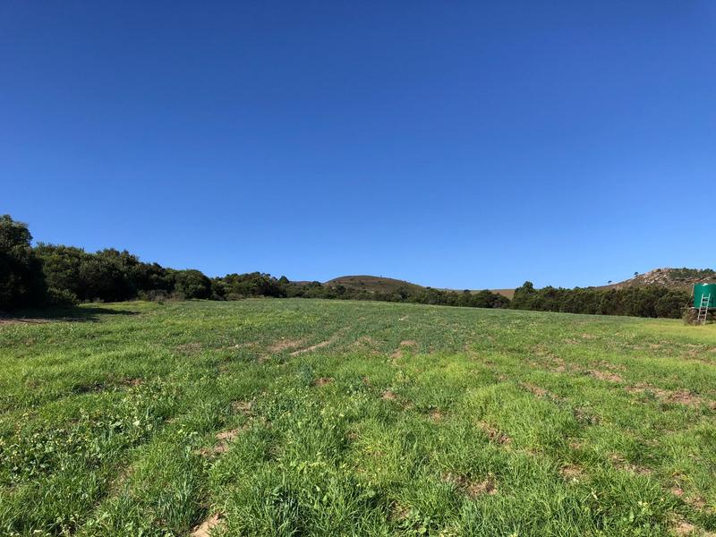 0 Bedroom Property for Sale in Baardskeerdersbos Western Cape